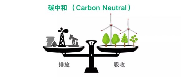 翻译行业助力碳达峰、碳中和